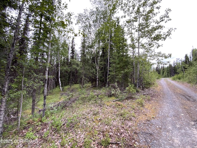 33555 New Don St, Soldotna, AK 99669