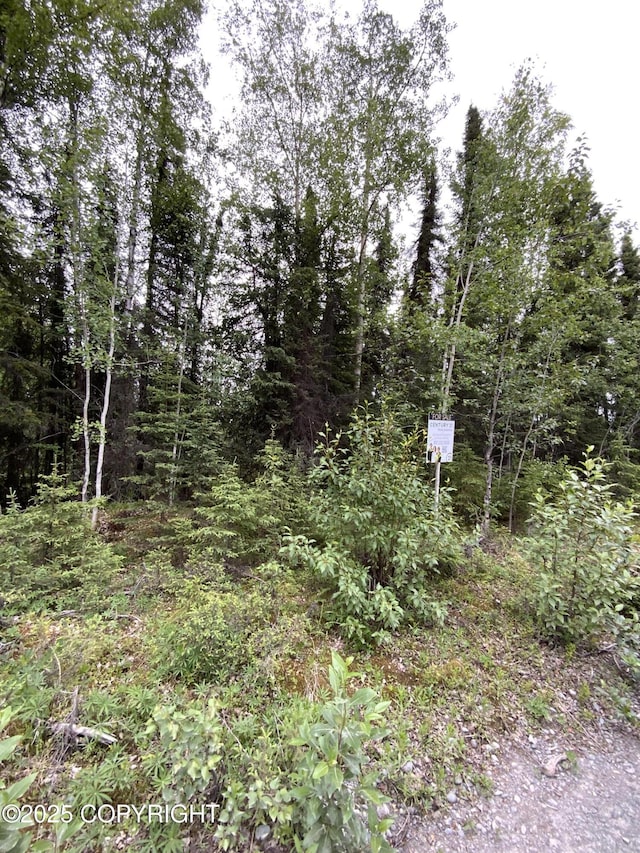 33555 New Don St, Soldotna, AK 99669