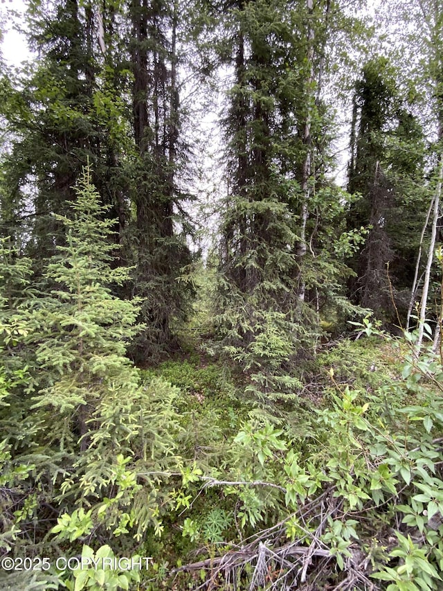 33555 New Don St, Soldotna, AK 99669