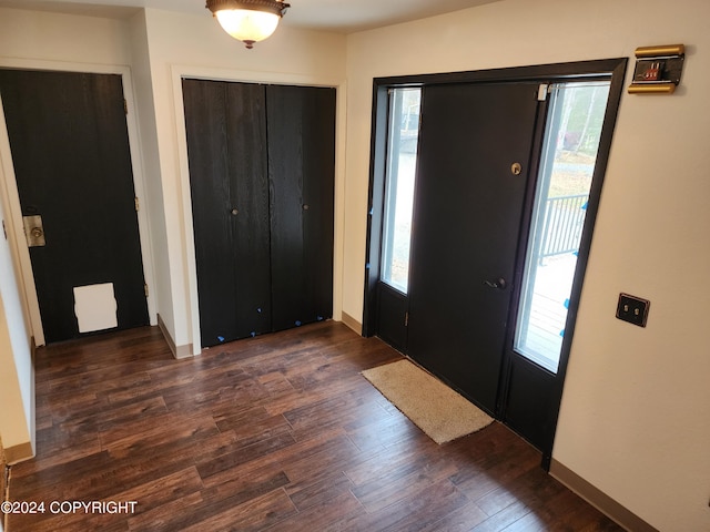 entrance foyer with dark hardwood / wood-style flooring