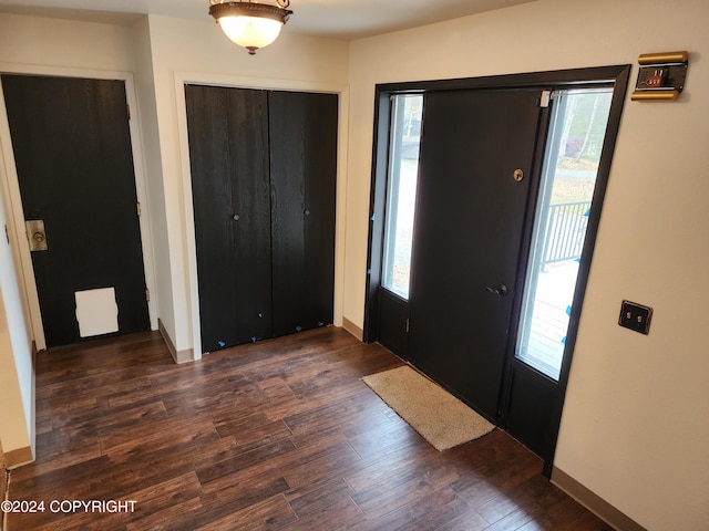 foyer with dark hardwood / wood-style flooring and a wealth of natural light