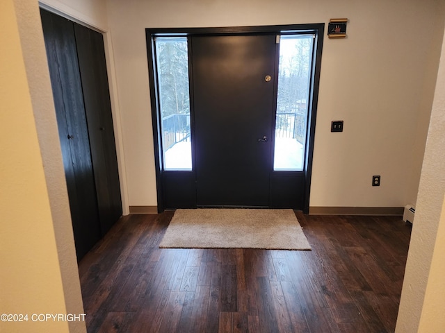 entrance foyer with dark hardwood / wood-style flooring and a baseboard radiator