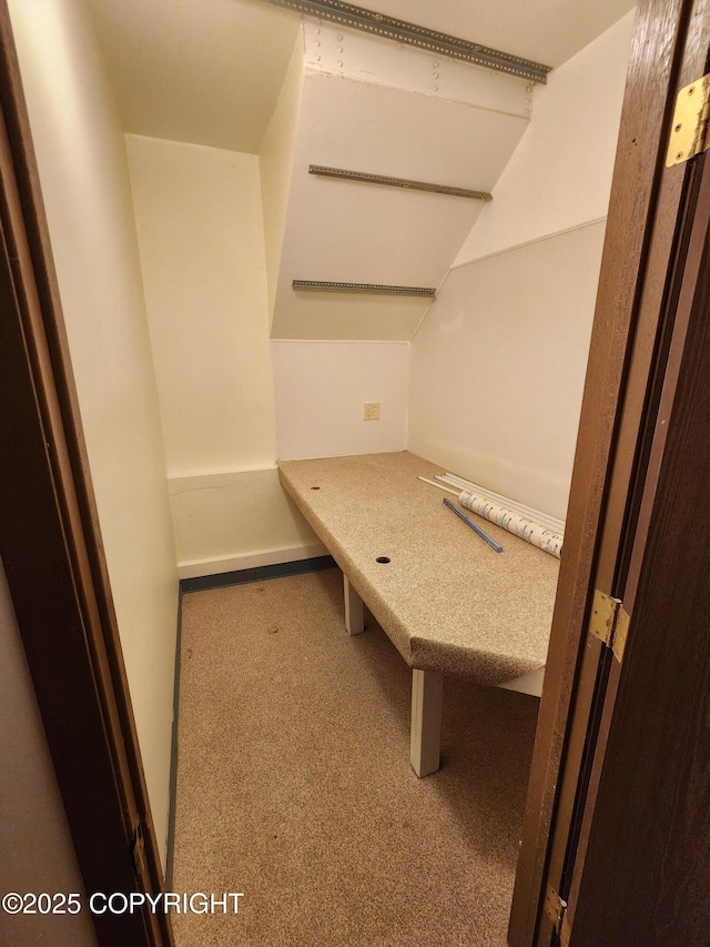 20527 Mark Cir, Chugiak, AK 99567 - view of walk in closet