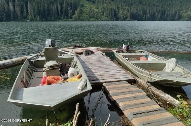 dock area with a water view