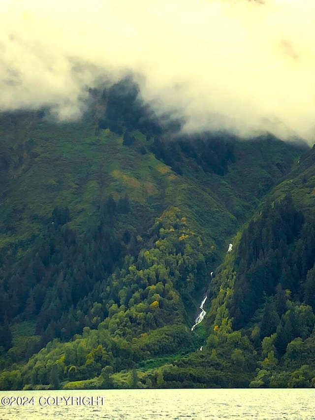 mountain view with a water view and a view of trees