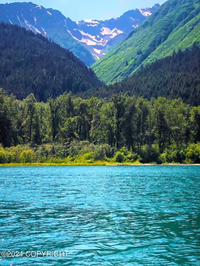 water view featuring a mountain view and a view of trees
