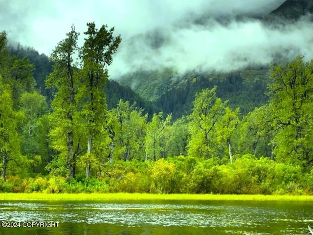 view of local wilderness featuring a water view and a wooded view