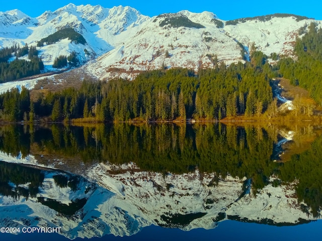 L13B8 Chilkat Lk, Haines, AK 99827 - view of mountain background with a forest and a nearby body of water