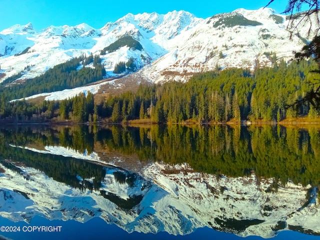 L13B8 Chilkat Lk, Haines, AK 99827 - mountain view with a forest and a large body of water