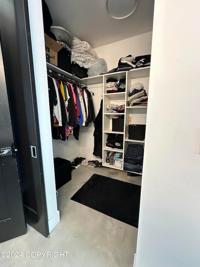 view of spacious closet