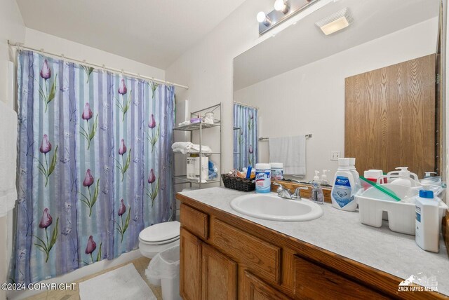 bathroom with vanity, toilet, and walk in shower