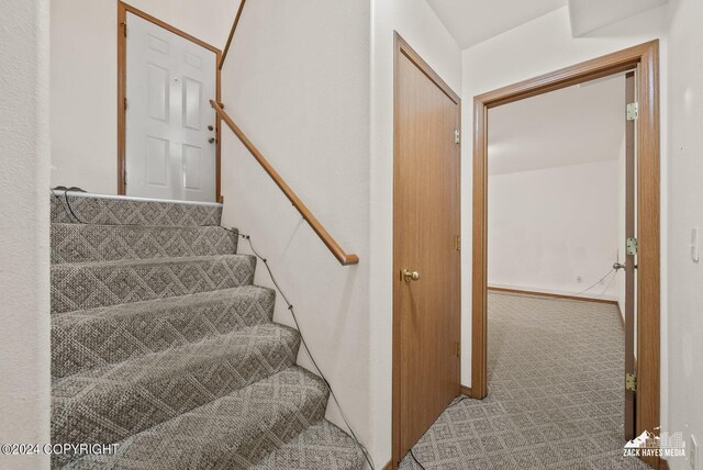 stairway with carpet