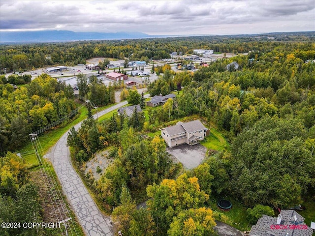 bird's eye view