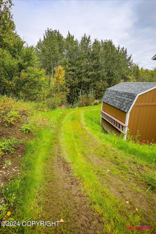 view of yard with a storage shed