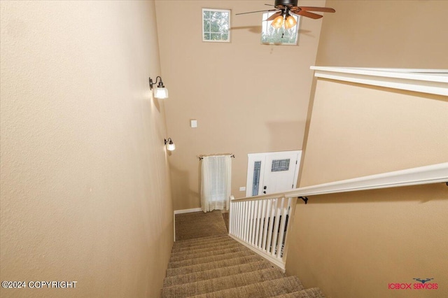 stairs featuring ceiling fan and carpet floors