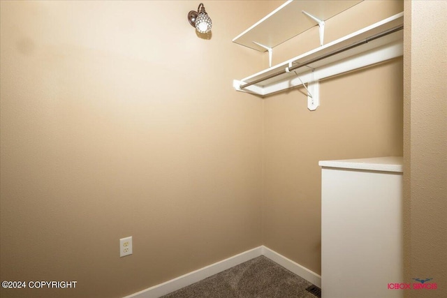 spacious closet featuring carpet