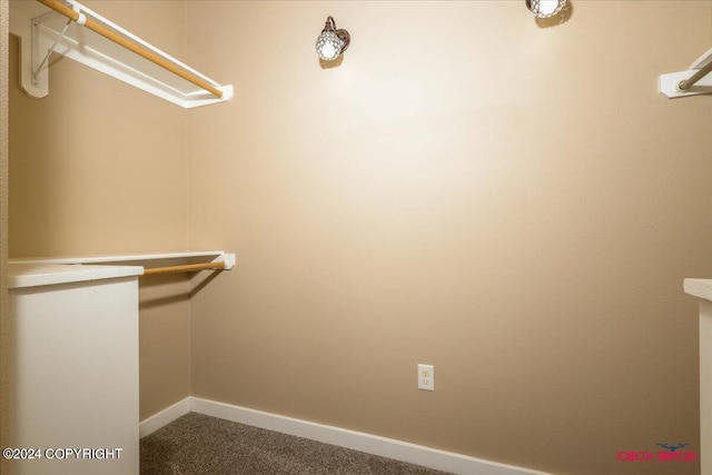 walk in closet with light carpet