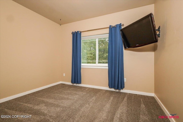 unfurnished room with lofted ceiling and carpet