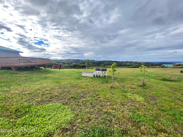 view of yard featuring a rural view