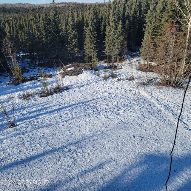 view of yard layered in snow