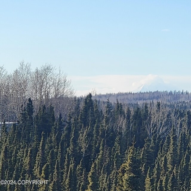 view of local wilderness