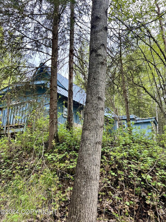 24741 N Otter Lake Loop, Willow, AK 99688 - photo 9