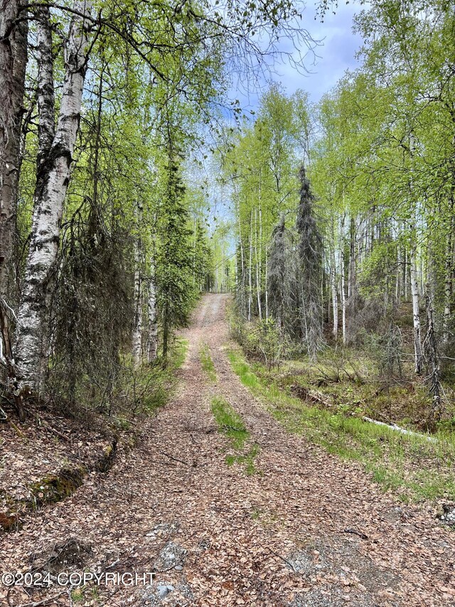 24741 N Otter Lake Loop, Willow, AK 99688 - photo 8