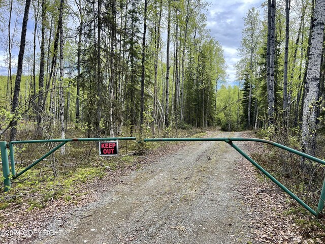 24741 N Otter Lake Loop, Willow, AK 99688 - photo 7