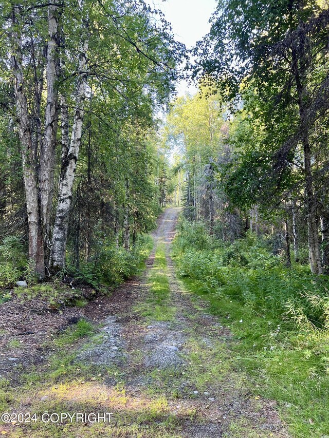 24741 N Otter Lake Loop, Willow, AK 99688 - photo 10