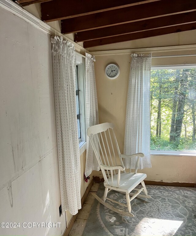24741 N Otter Lake Loop, Willow, AK 99688 - photo 15