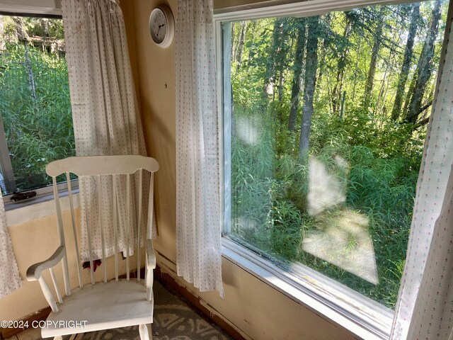 24741 N Otter Lake Loop, Willow, AK 99688 - photo 20