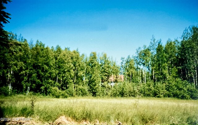 24741 N Otter Lake Loop, Willow, AK 99688 - photo 41