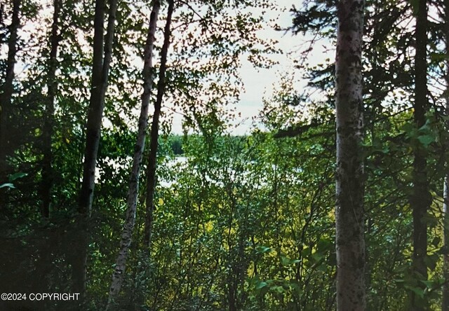 24741 N Otter Lake Loop, Willow, AK 99688 - photo 43