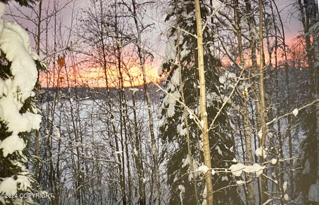 24741 N Otter Lake Loop, Willow, AK 99688 - photo 44