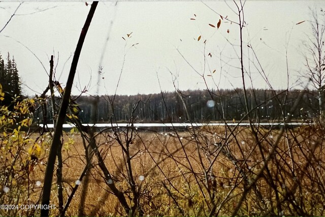 24741 N Otter Lake Loop, Willow, AK 99688 - photo 45