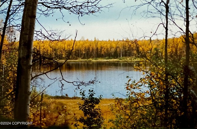 24741 N Otter Lake Loop, Willow, AK 99688 - photo 46