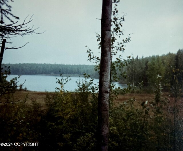 24741 N Otter Lake Loop, Willow, AK 99688 - photo 49