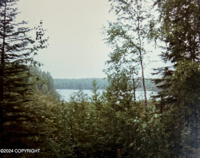 property view of mountains featuring a water view