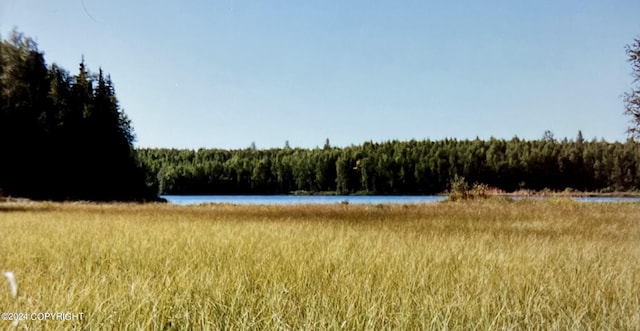 property view of water