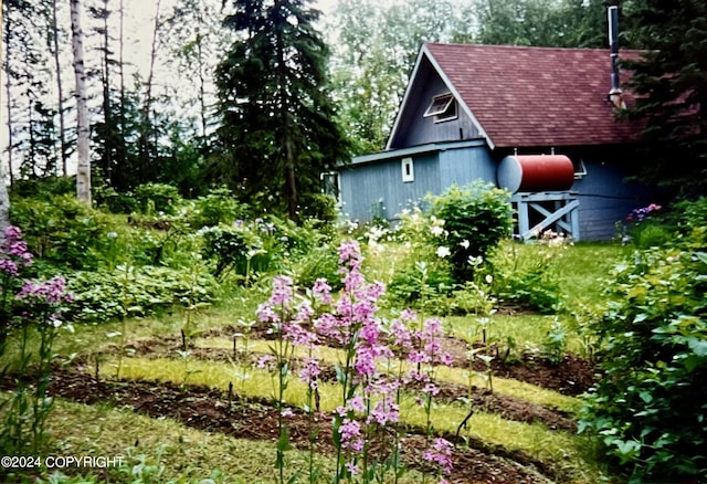 view of yard with an outbuilding