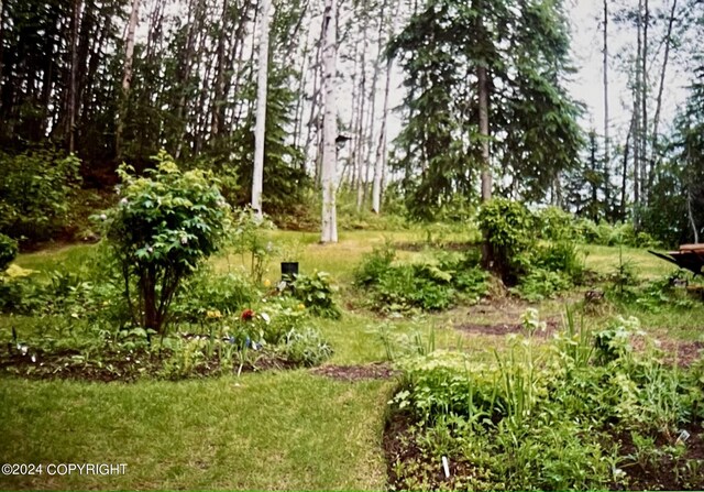 24741 N Otter Lake Loop, Willow, AK 99688 - photo 53