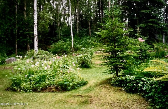 24741 N Otter Lake Loop, Willow, AK 99688 - photo 65
