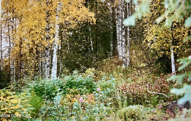 view of landscape