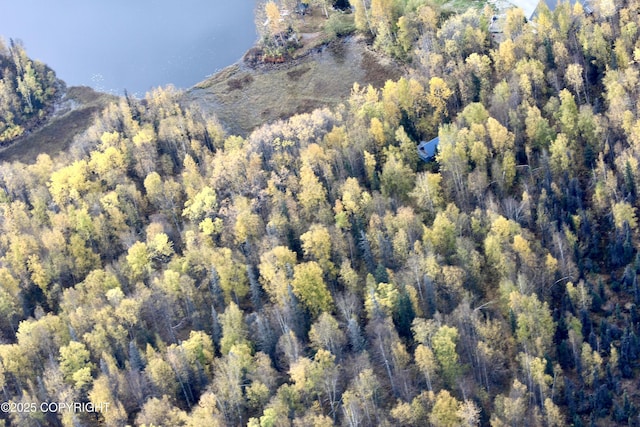 24741 N Otter Lake Loop, Willow, AK 99688 - photo 3