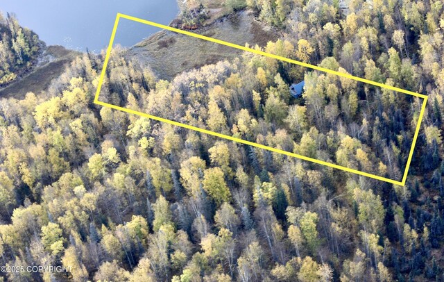 24741 N Otter Lake Loop, Willow, AK 99688 - photo 4