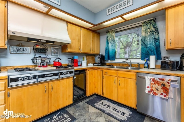 kitchen with sink, stainless steel appliances, and exhaust hood