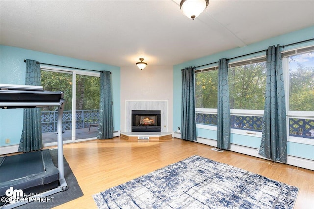 living room with wood-type flooring, a premium fireplace, and a wealth of natural light