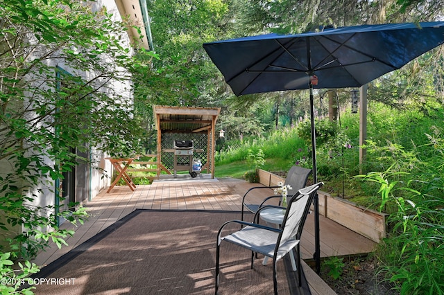 view of patio with a wooden deck