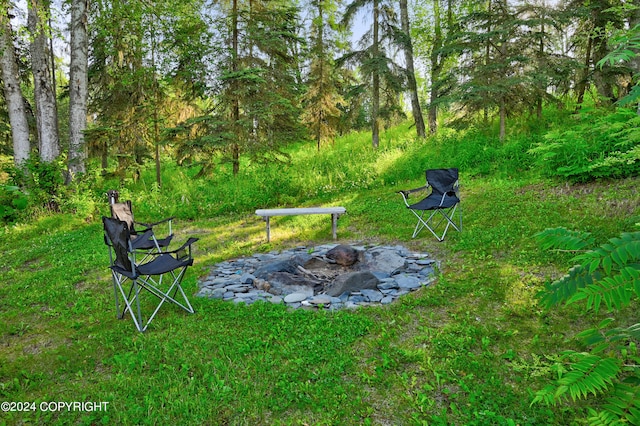 view of yard featuring an outdoor fire pit