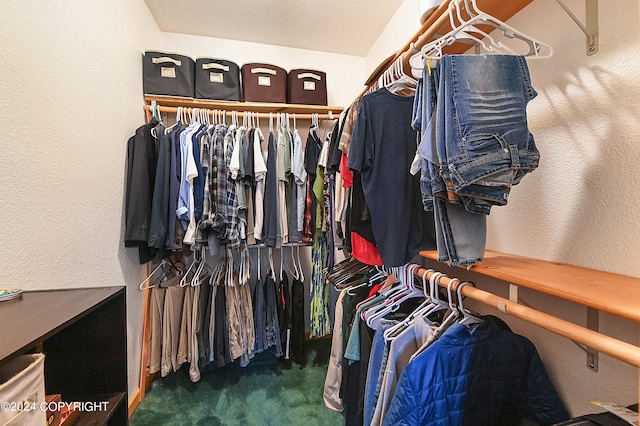 walk in closet with dark carpet